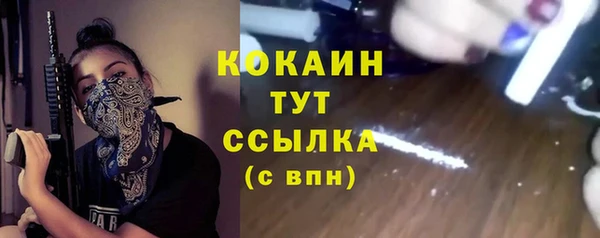 гашик Новодвинск