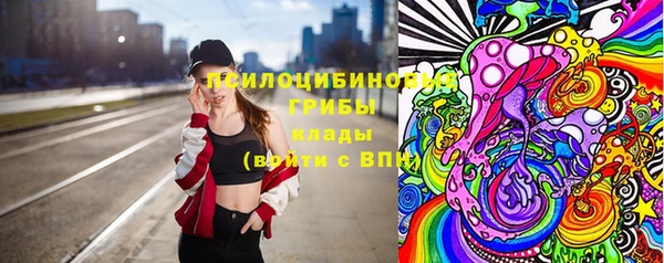 гашик Новодвинск