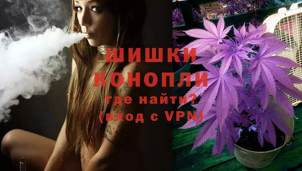 PSILOCYBIN Бородино