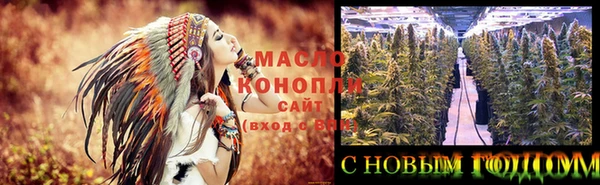 гашик Новодвинск