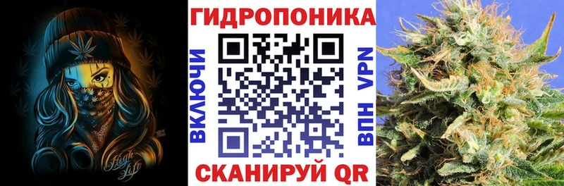 где можно купить   Ленинск  Конопля марихуана 